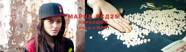 прущий лед Алзамай