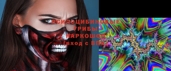 прущий лед Алзамай
